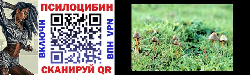 сколько стоит Майский Галлюциногенные грибы Magic Shrooms